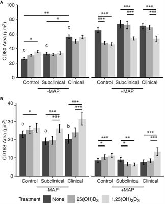 Vitamin D3 alters macrophage phenotype and endosomal trafficking markers in dairy cattle naturally infected with Mycobacterium avium subsp. paratuberculosis